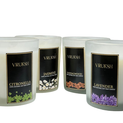 Jar Candle - Vruksh by MV Candles